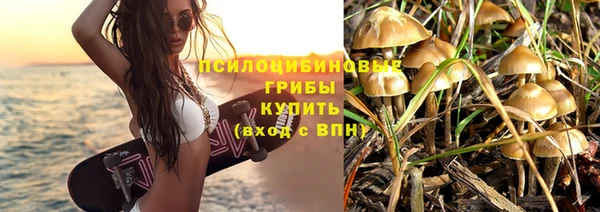 синтетический гашиш Алексеевка